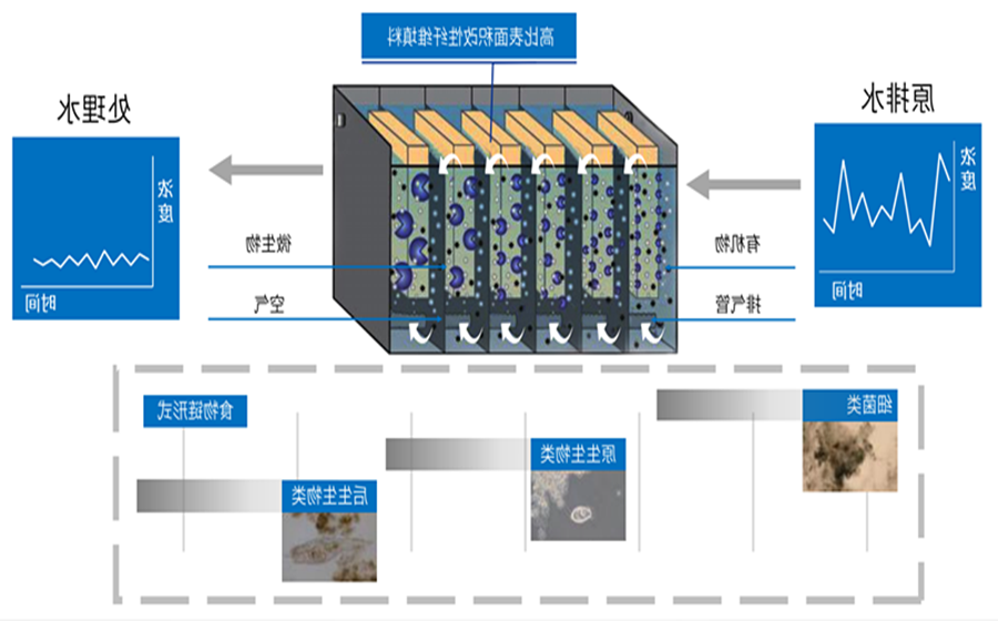 1652237153(1)_副本.png