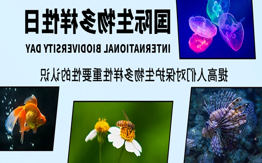 图怪兽_61c721cf9488223326f65d467115ab86_93901.png