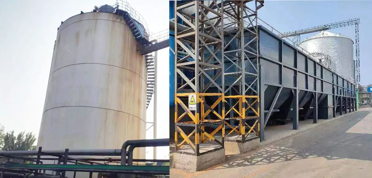 1708567297756038.jpg 55.jpg