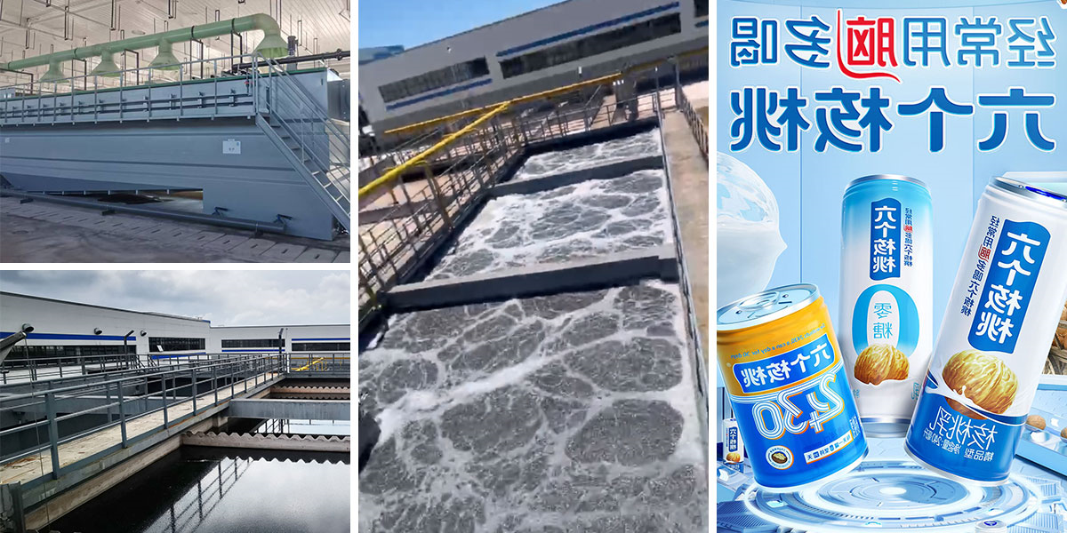 1734596327746429.jpg 网站图片模板.jpg