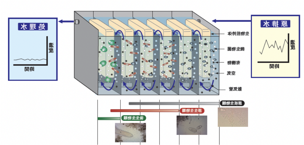 Biochemical Technology of High Salinity Wastewater