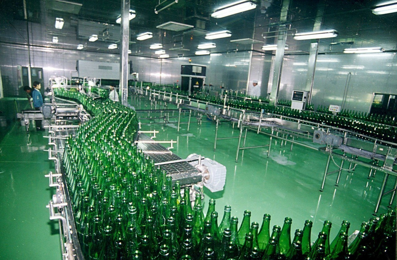 Budweiser Beer